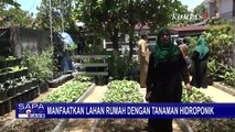 Kelompok Wanita Tani di Banda Aceh Sukses Ubah Lahan Pekarangan Jadi Kebun Sayur Produktif