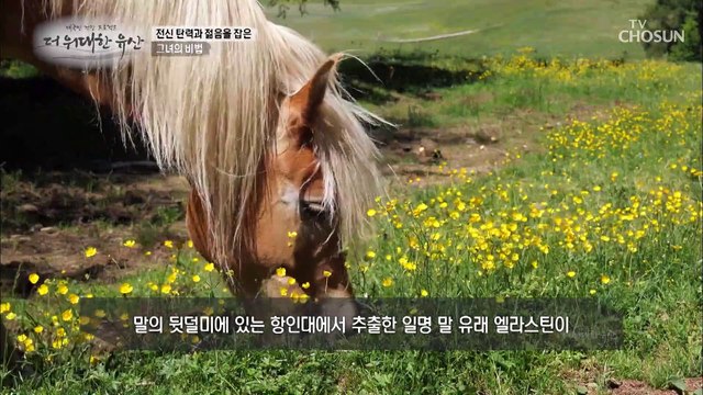 탄력 단백질 ‘엘라스틴’ 신체 탄력 관리에 GOOD TV CHOSUN 20220922 방송