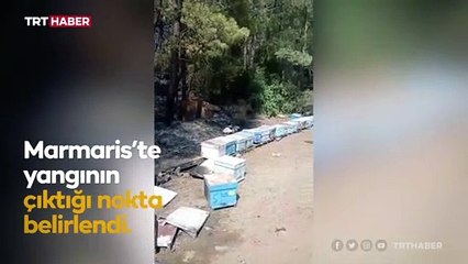 Marmaris'te ormanı arıcının ateşi yaktı