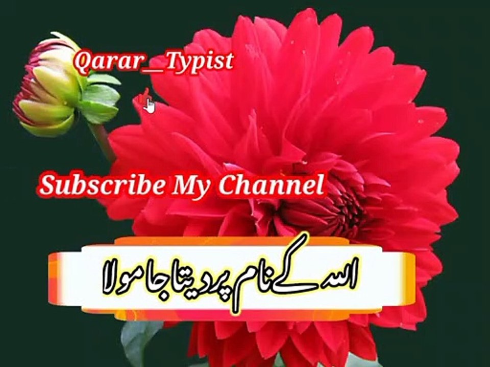 Allah terey har murad pureey karey | اللہ تیری ہرمرادپوری کریں | qarar__typist
