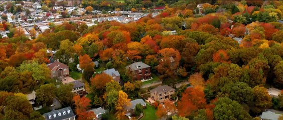 DUFF : Le faire-valoir Bande-annonce (DE)