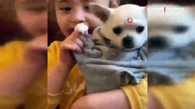 Pes dedirten hırsızlık! Köpeği önce sevdiler sonra çaldılar