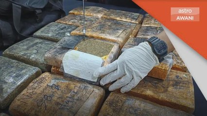 Dadah | Anak beranak ditahan bersama 21 ketul ganja mampat