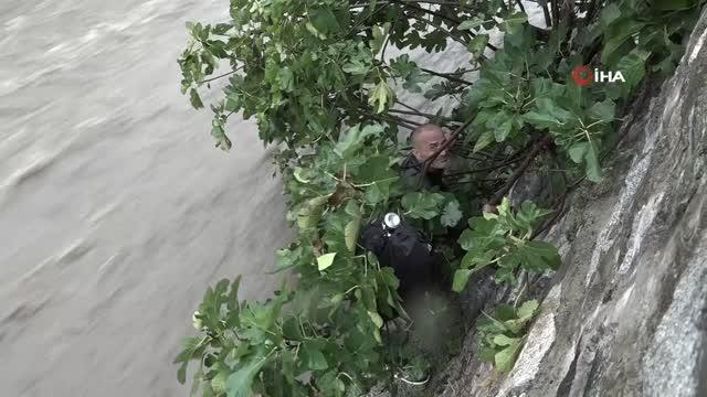 Suyu yükselen derede can pazarı...Yağmur sularıyla sürüklenen kişi, ağaç dallarına tutunarak kurtuldu