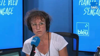 Anne-Sophie Novel : "Il est plus rentable aujourd'hui de produire du maïs pour le mettre dans le méthaniseur que pour le dédier à l'alimentation !"