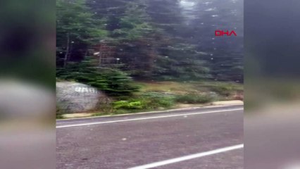 Uludağ'a mevsimin ilk karı