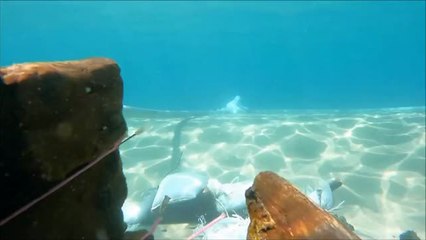 Hallan un barco de más de 1200 años hundido en Tierra Santa