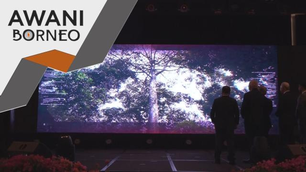 Taman Negara Niah | Pengiktirafan UNESCO hubungkan Sarawak kepada dunia