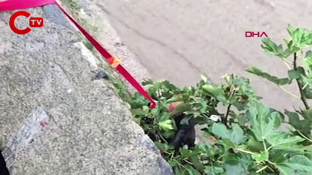 Debisi yükselen dereye düşüp sürüklendi, polisin uzattığı iple kurtuldu