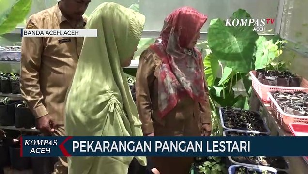 Sukses, Kelompok Wanita Tani Garap Pekarangan Pangan Lestari