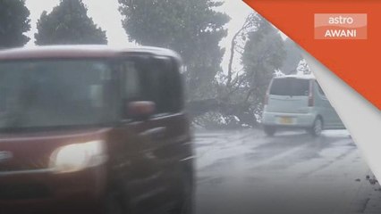 Taufan Hinnamnor | Bekalan elektrik di beberapa kediaman terputus