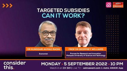 Consider This: Subsidies (Part 1) - Delivering Targeted Support