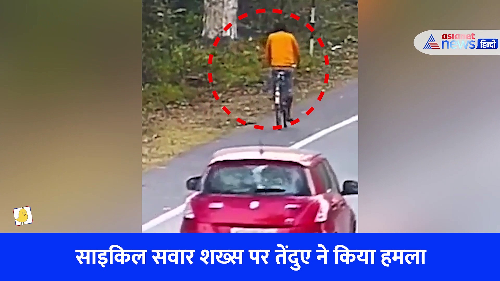 साइकिल से जा रहे शख्स पर तेंदुए का हमला, Video रोंगटे खड़े कर देगा