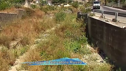 VEGETAZIONE TORRENTI: DA PERICOLO A RISORSA