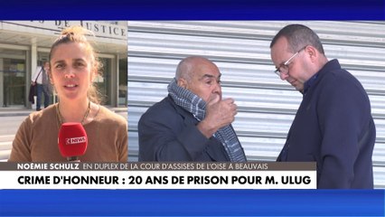 Meurtre de Julien Videlaine : Muhittin Ulug condamné à 20 ans de prison