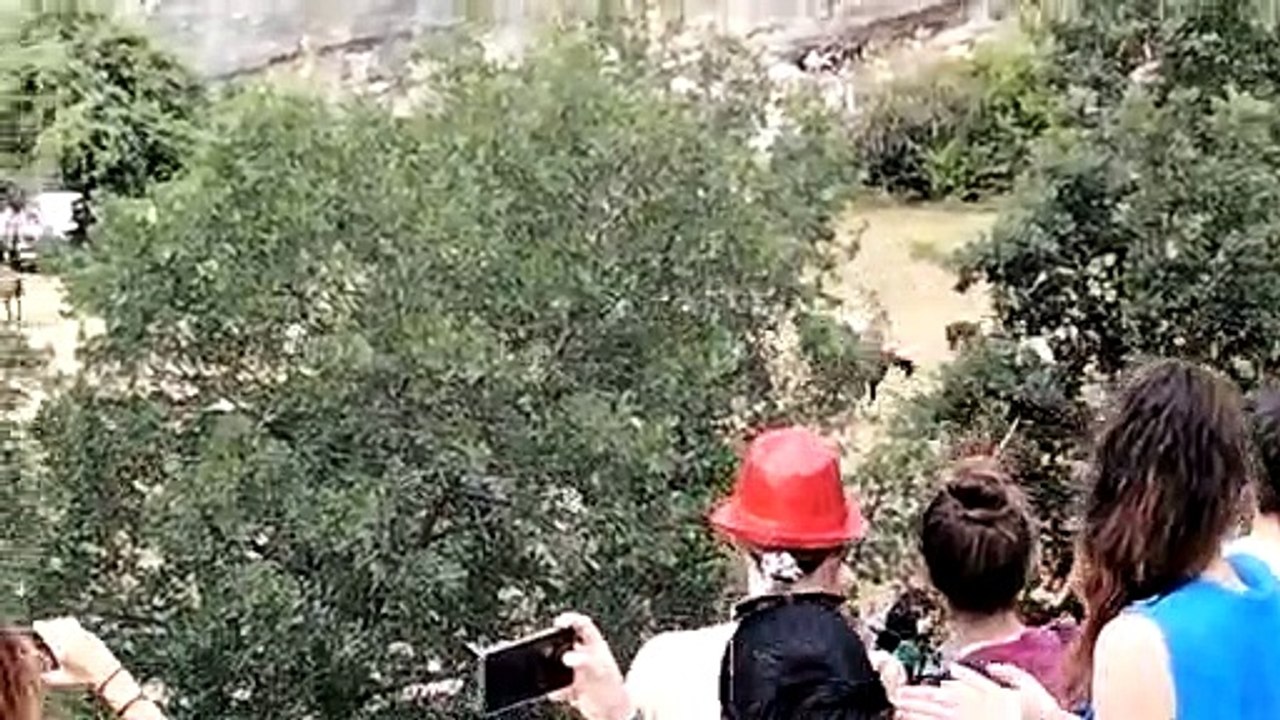 La Saca rumbo a la Vega de San Millán