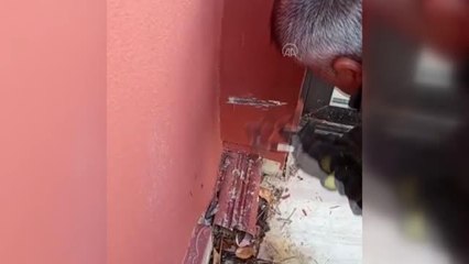 Duvara sıkışan yavru kedileri itfaiye kurtardı