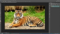 photoshop Tutorial  Turn a Photo into a Pencil Drawing in Photoshop