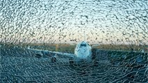 Todesangst: Riss in der Scheibe sorgt für Panik im Flugzeug