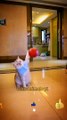 Cute Pie Legendary Cat Videos - Intelligence Cat Animals | Cute Animals Yt