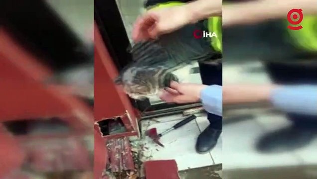 Baca oluğunda mahsur kalan yavru kediler itfaiye ekiplerince kurtarıldı