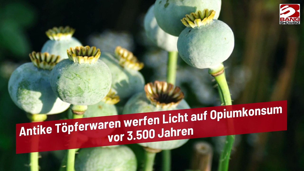 Antike Töpferwaren werfen Licht auf Opiumkonsum vor 3.500 Jahren