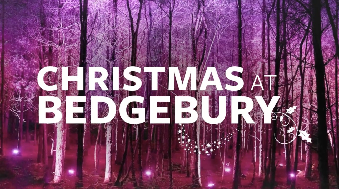 PREVIEW Christmas at Bedgebury 2022 video Dailymotion