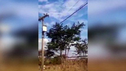 Helicóptero que transportava deputado Hercílio Diniz cai em MG