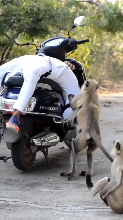 Muchos deberíamos ser como ellos