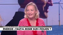 Ludovine de La Rochère : «Les éoliennes sont une autre forme de pollution»