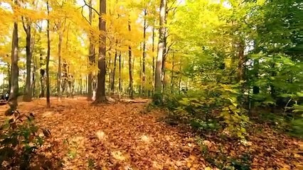 Nature of world,Nature of Falls,calm music,meditation yoga , sleeping