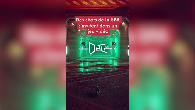 La SPA sensibilise à l'adoption des chats dans un jeu vidéo