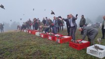 1000 kınalı keklik doğaya bırakıldı