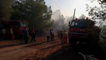 Antalya haberi... Kumluca'da orman yangını çıktı (2)