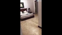 Quand tu laisses les fenêtres ouvertes la nuit à Bali... Invasion d'insecte