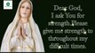 our catholic prayers // catholic prayers everyday // morning prayer catholic // prayers online catholic // catholic morning prayers