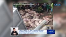 Cargo truck na may kargang mahigit 70 baboy, nahulog sa bangin; driver at pahinante sugatan | Saksi