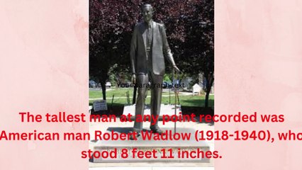 Facts|Longest Finger Nail