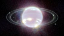 James Webb eyes Neptune, detects rings for first time in 30 years