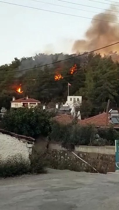 Muğla'da yerleşim yerlerine yakın noktada orman yangını çıktı