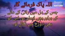 Sahih Bukhari Hadees No.22 _ Hadees Nabvi in Urdu _ Bukhari Hadees _ Bukhari Shareef in Urdu