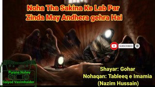 Noha Tha Sakina Ke Lab Par | Shayar: Gohar | Nohaqan: Tableeq e Imamia (Nazim Hussain) | Noha lyrics