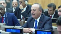 Çavuşoğlu: 