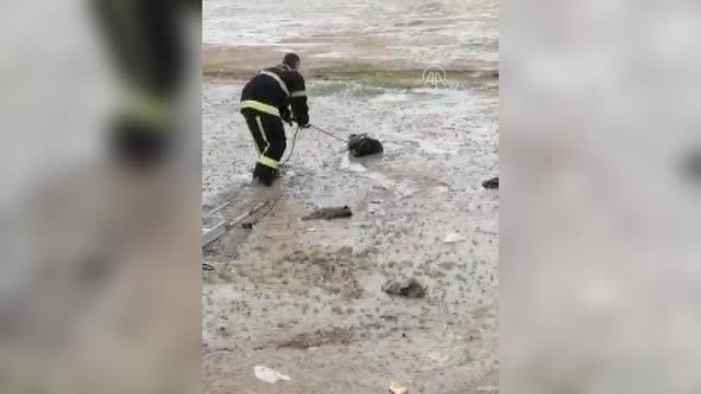 Son dakika haberleri | KAHRAMANMARAŞ - Bataklığa saplanan keçi yavrusunu itfaiye kurtardı