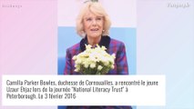 Camilla, reine consort : dans sa famille, une autre maîtresse de la famille royale a fait du bruit !