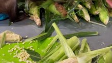 Corn 