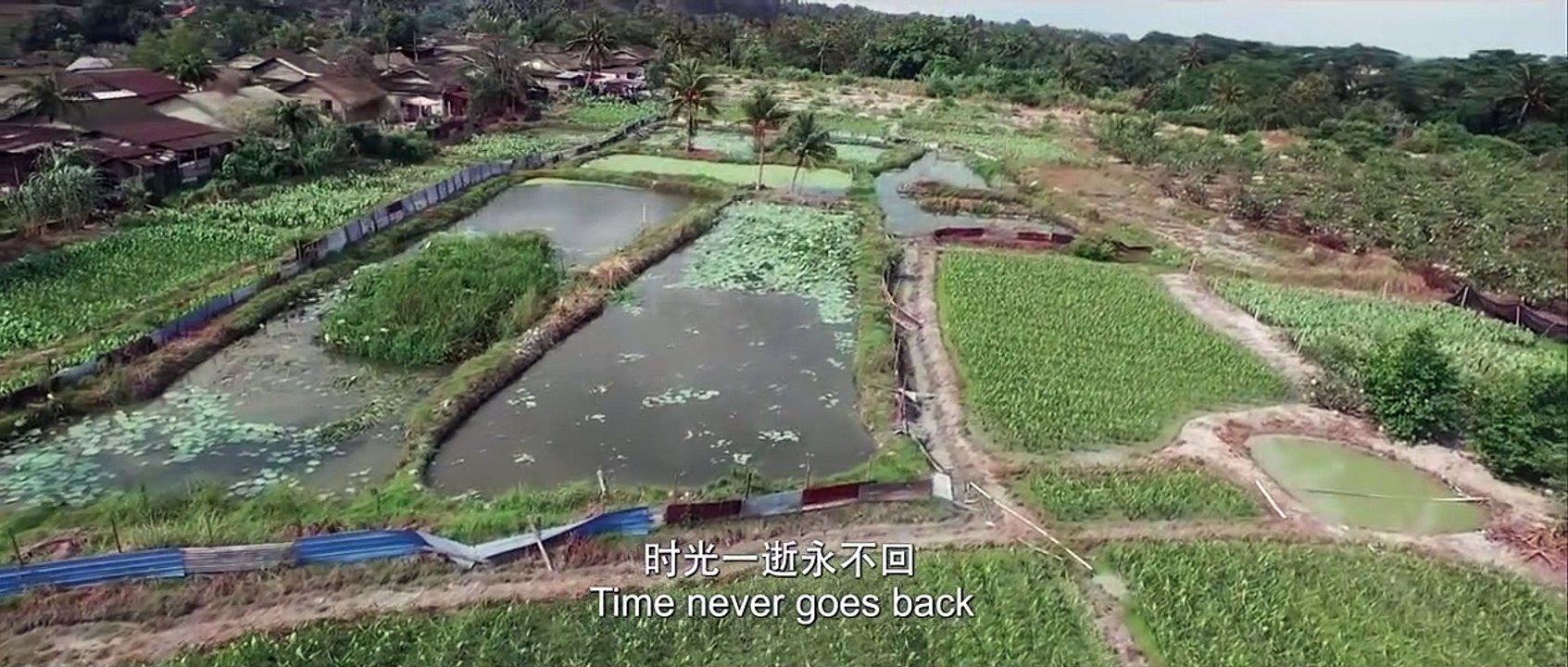 Long Long Time Ago Bande-annonce (EN)
