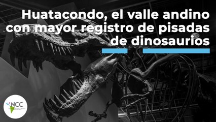Huatacondo, el valle andino con mayor registro de pisadas de dinosaurios | 485 | 26-9 a 2-10 de 2022
