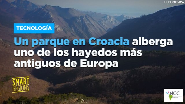 Un parque en Croacia alberga uno de los hayedos más antiguos de Europa