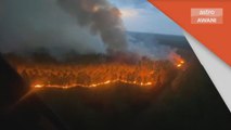 Kebakaran | Kebakaran hutan memaksa penduduk berpindah